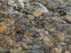 -白河湾生态旅游一条川