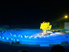 -鼎盛王朝康熙大典实景演出