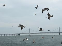 -星海广场