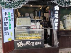 -猫的魔法密林(衣裳街店)