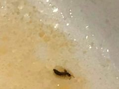 -多多茶餐厅(松风路店)