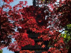 -常熟方塔园