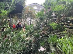 -凤来栖·净庭院·火锅(欧尚店)