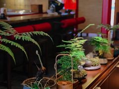 -300杯·和牛烧肉清酒专门店(廊里店)