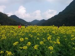 android_upload_pic-广州市石门国家森林公园
