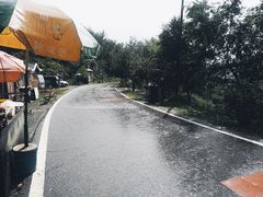 -阳台山自然风景区