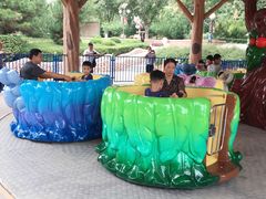 -辛玛王国游乐园