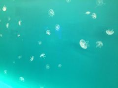 -多彩贵州城极地海洋世界