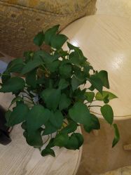 -北京俪婴妇产医院(朝阳大悦城店)