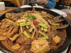 -老板恋上鱼(印象城店)