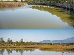 -野鸭湖国家湿地公园