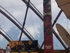 -怀托摩萤火虫洞