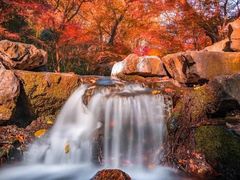 -猫的天空之城概念书店(杭州南宋御街店)