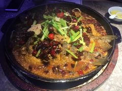 -老板恋上鱼(恒隆广场店)