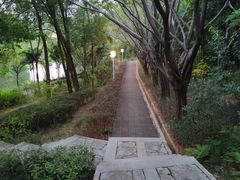 -深圳龙潭公园