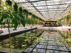 -常州花鸟园酒店(西太湖品牌优选店)