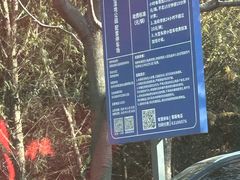 -同里国家湿地公园