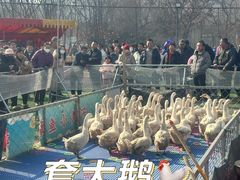 -五环公园