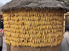 -长春市南湖公园