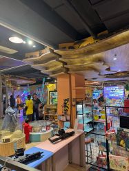 -卡通尼·Safari非洲探索乐园·生日会(金桥国际商业广场店)