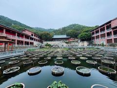 -石峰岩寺