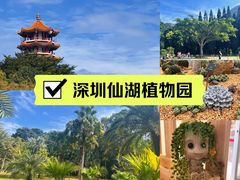 -深圳市中科院仙湖植物园