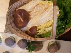 -同仁四季椰子鸡(罗湖国贸店)