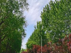 -仁和公园(顺义区)