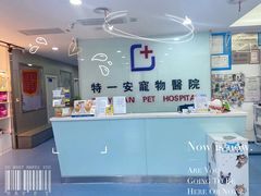 -特一安24小时宠物医院·骨科·中兽医