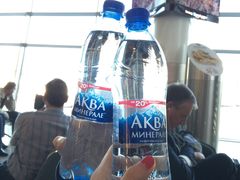 -谢列梅捷沃国际机场