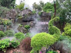 -深圳仙湖植物园-停车场