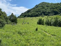 -白草畔自然风景区