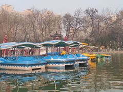 -莲湖公园