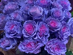 -BEAST野兽派(上海浦东嘉里城店)