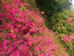 -涠洲岛火山国家地质公园
