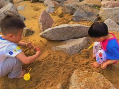 -宝安西湾红树林湿地公园