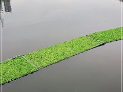 -重庆彩云湖湿地公园