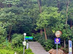 -火炉山森林公园