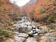-光雾山旅游景区
