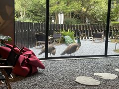 -J Create城市露营咖啡·简餐·宠物(上海动物园店)