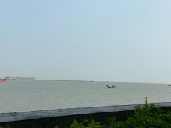 -大湾区中央湿地公园