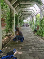 -优沃得自然教育农场·冰雪乐园·生日会·研学