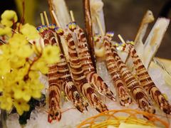 -鲜入围煮花胶鸡海鲜火锅