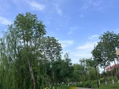 -柴窝堡22号传承新疆菜·新疆辣子鸡