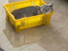 -联合动物医院(光谷诊疗中心)