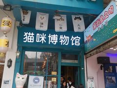 门面-猫咪博物馆(顶澳仔猫街店)