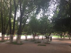 -天津市和平区西宁道清真寺