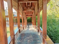 -水西公园