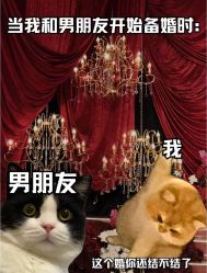 -Sugar苏格婚礼策划工作室