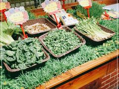 自助取餐区-宝燕海货工场(长江国际店)